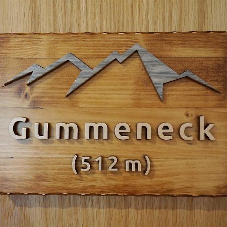 Gummeneck - Stubenhof, Black Forest Simonswald Eksteriør billede