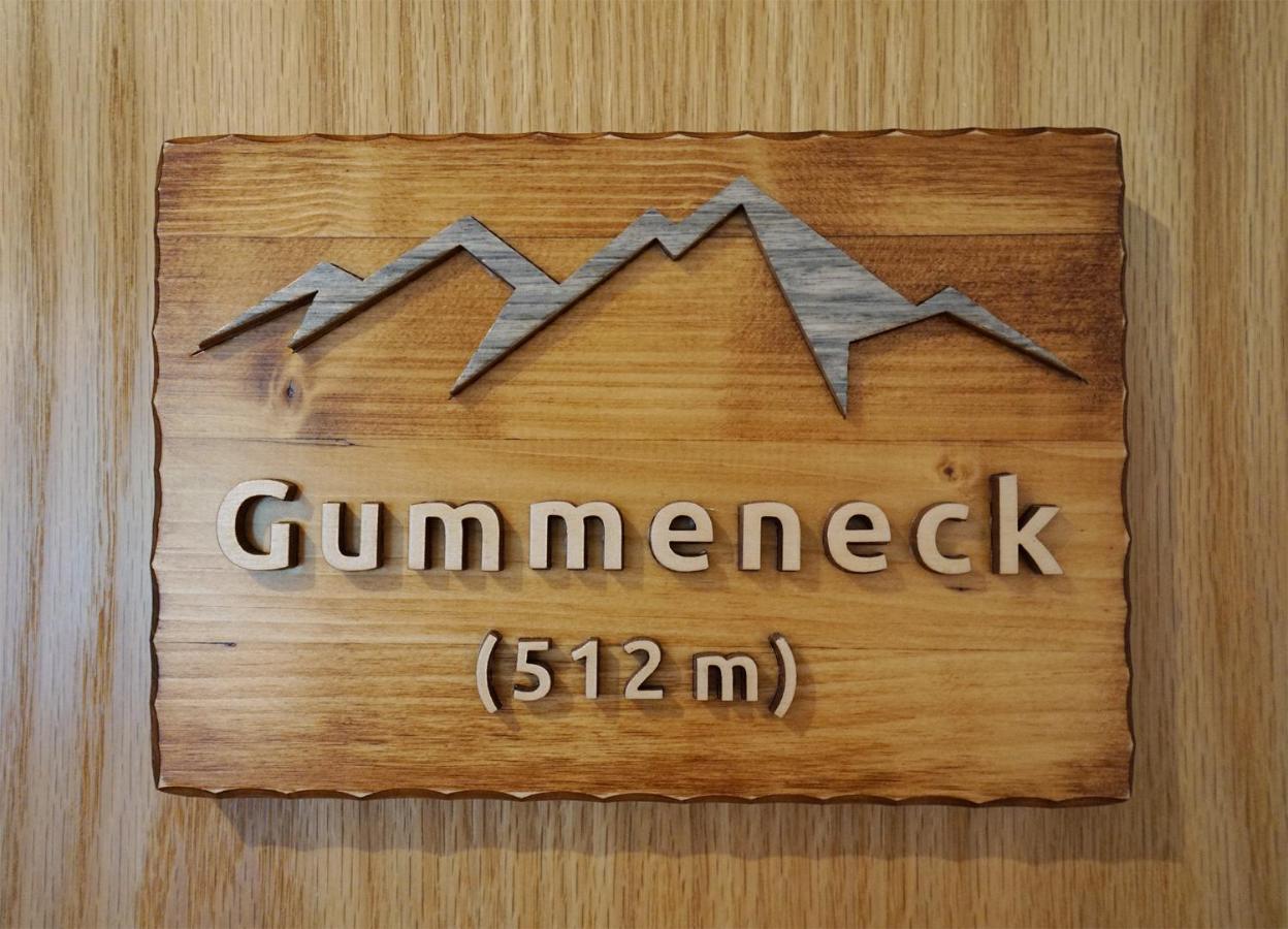 Gummeneck - Stubenhof, Black Forest Simonswald Eksteriør billede